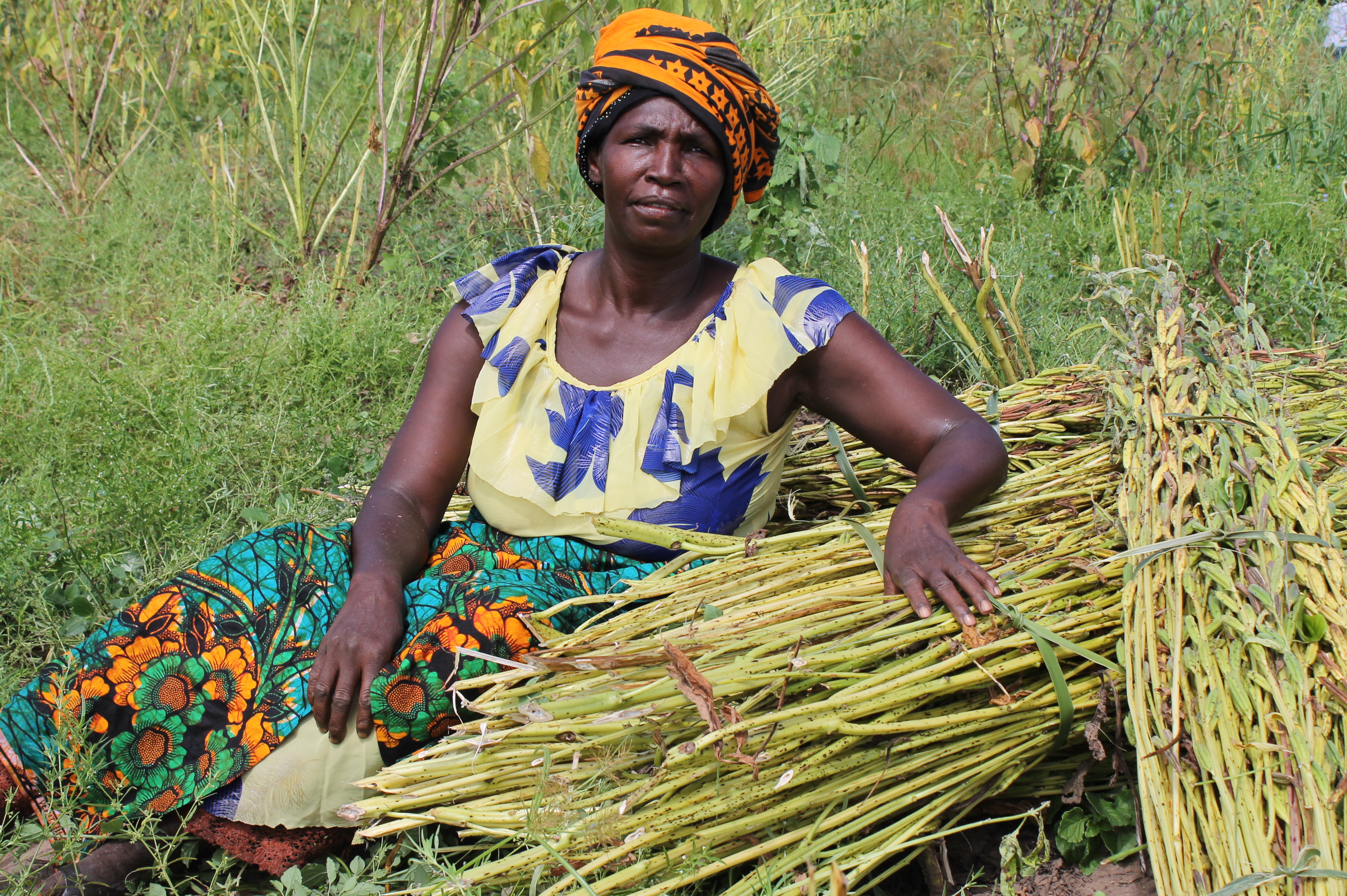 Climate Change in Tanzania: Farmers are Waiting for solutions