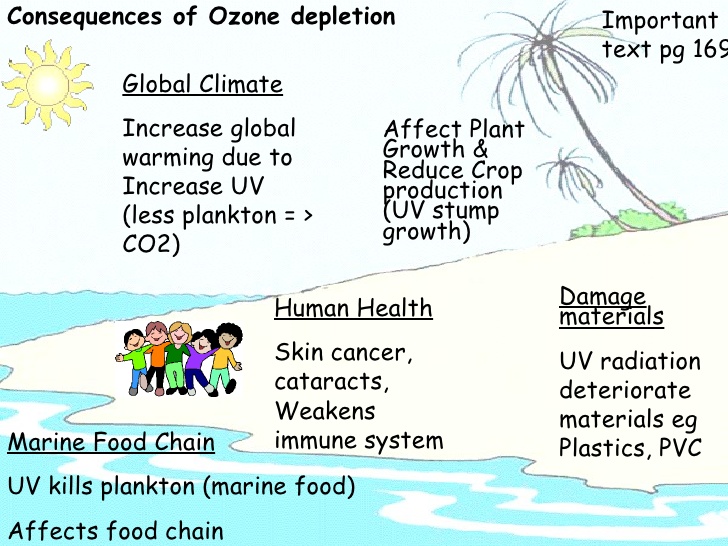 Consequences of ozone depletion