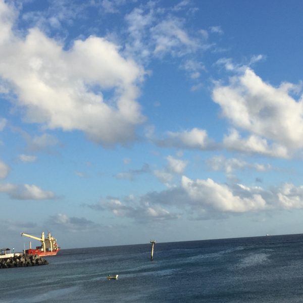 COP 28: The Great Blue Wall initiative at the forefront in Comoros- Climate Action