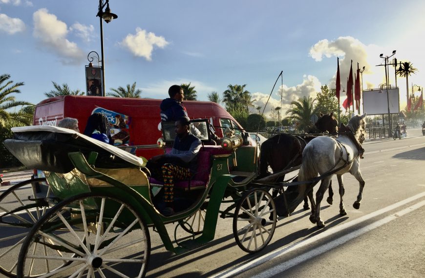 Promenade en calèche à Marrakech