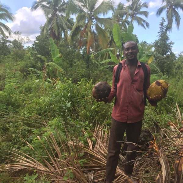 COP 28: Climate finance, necessary for farming families – “Untapped potential” report – Climate Focus