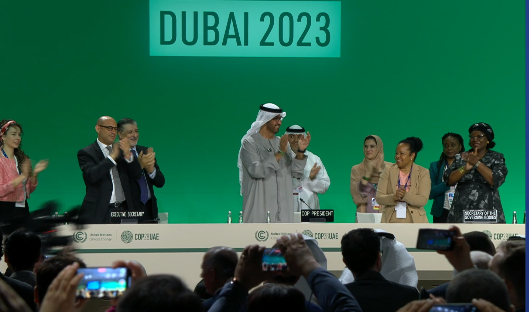 COP 28: A global deal adopted without the approval of small islands developing states