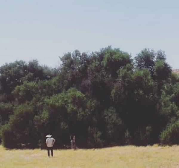 COP28: Tunisia calls for adaptation to finance its economy