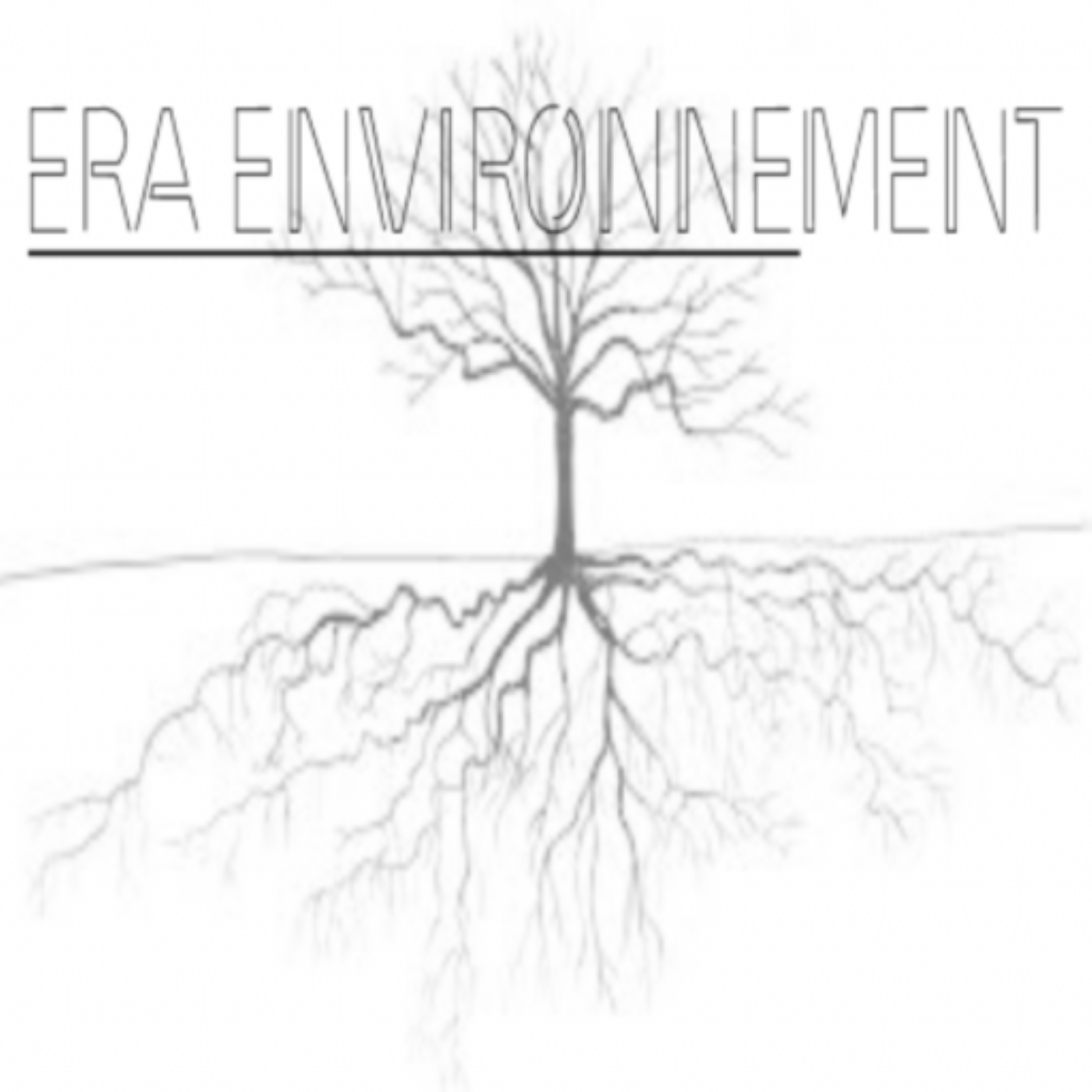 Your Voice By Era Environnement