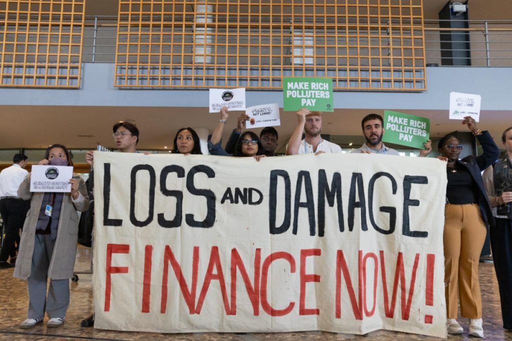 Bonn: « le financement, l’éléphant dans la pièce »