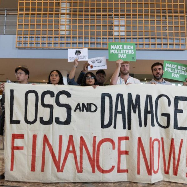 Bonn: « le financement, l’éléphant dans la pièce »