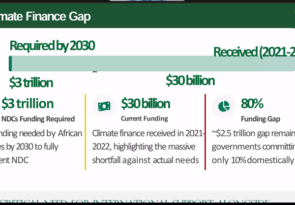 Climatefinancegap