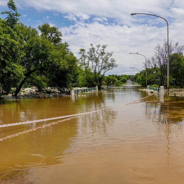 Pexels magda ehlers pexels