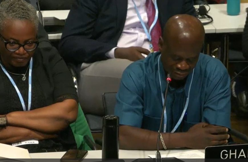 COP 31 : L&rsquo;Afrique peut-elle faire valoir ses droits