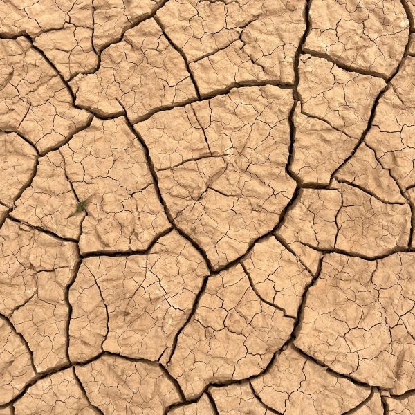 Europe : Combien coûtent les sécheresses