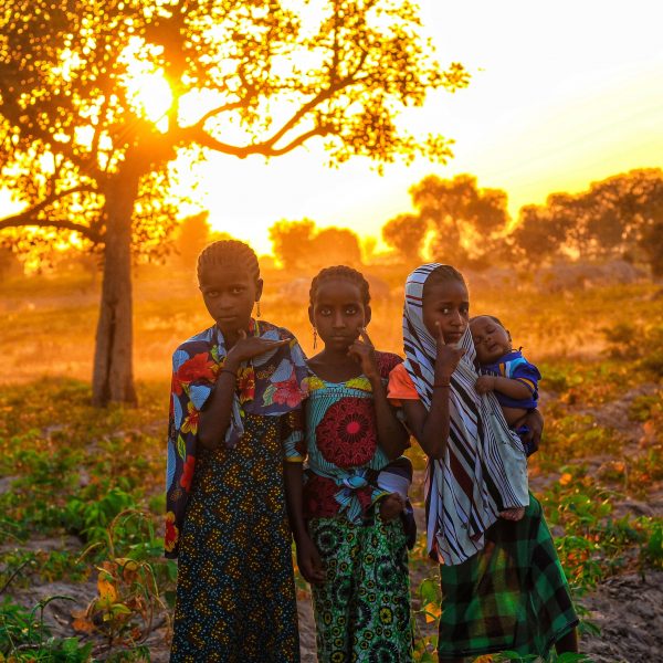 COP 31 : L&rsquo;Afrique peut-elle bâtir une croissance résiliente