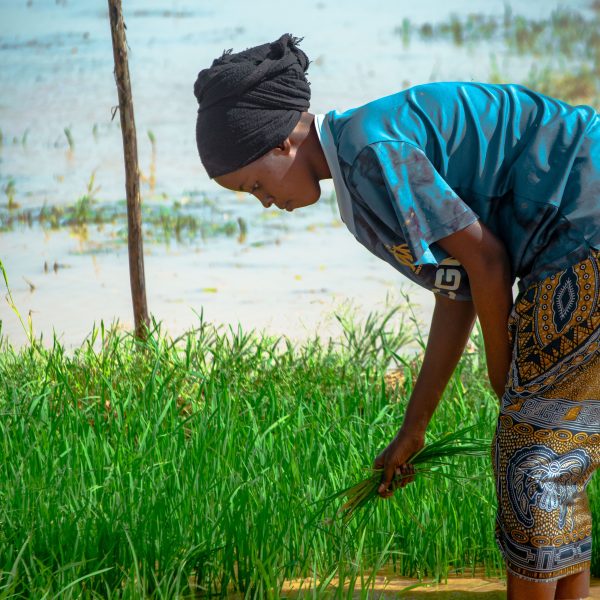 COP 31 : Comment l&rsquo; Objectif mondial d&rsquo;adaptation est né