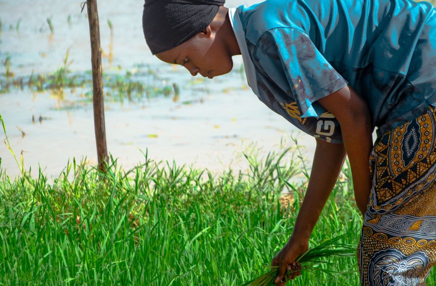 COP 31 : Comment l&rsquo; Objectif mondial d&rsquo;adaptation est né