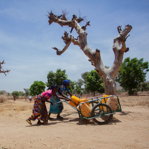 COP 17: Comment combler le déficit d&rsquo;investissement à la CNULCD