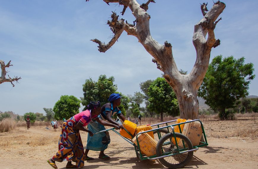 COP 17: Comment combler le déficit d&rsquo;investissement à la CNULCD
